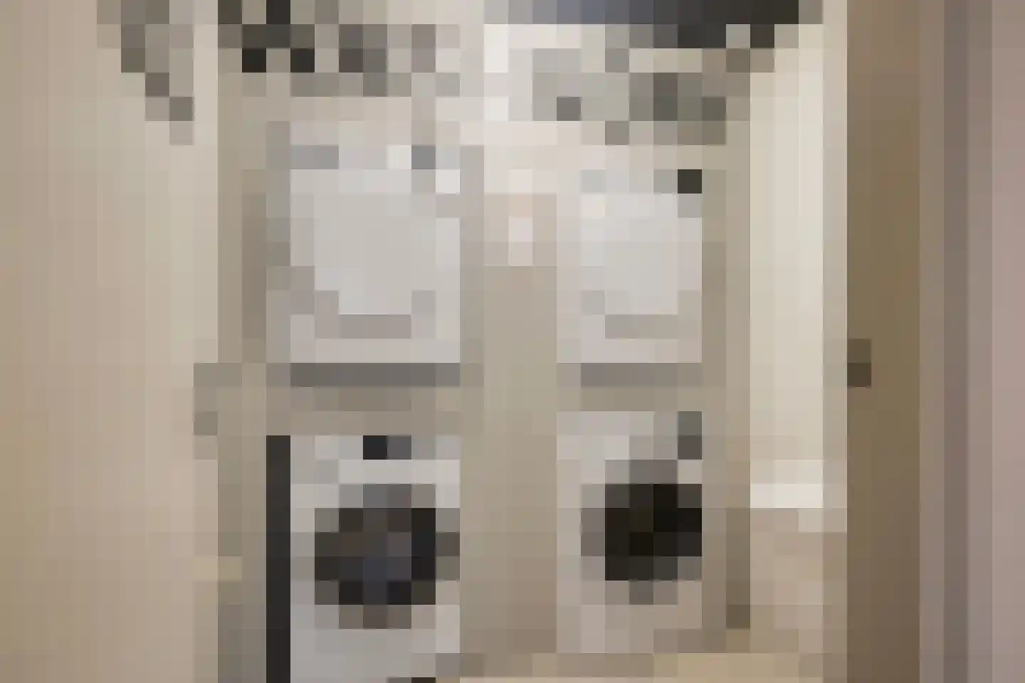 Beukenlaan 2 A 2 Ede thumbnail 19