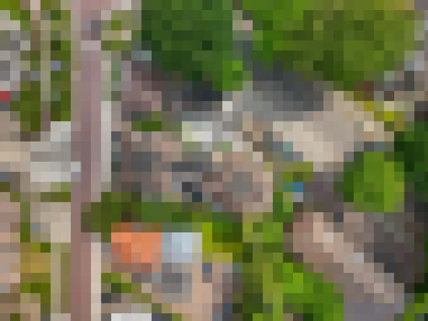 Beukenlaan 2 A 2 Ede thumbnail 25