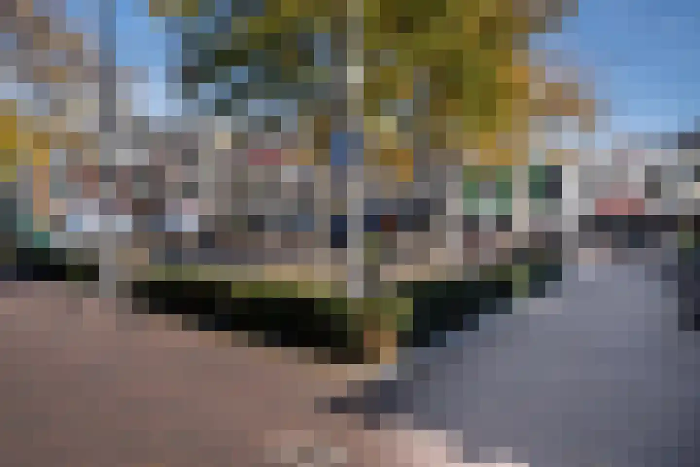 Beukenlaan 2 A 2 Ede thumbnail 27