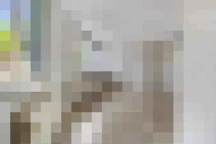 Beukenlaan 2 A 4 Ede thumbnail 7