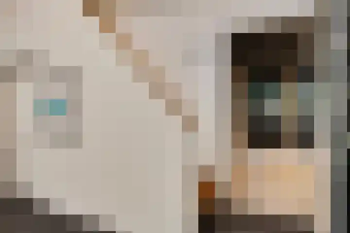 Beukenlaan 2 A 7 Ede thumbnail 16