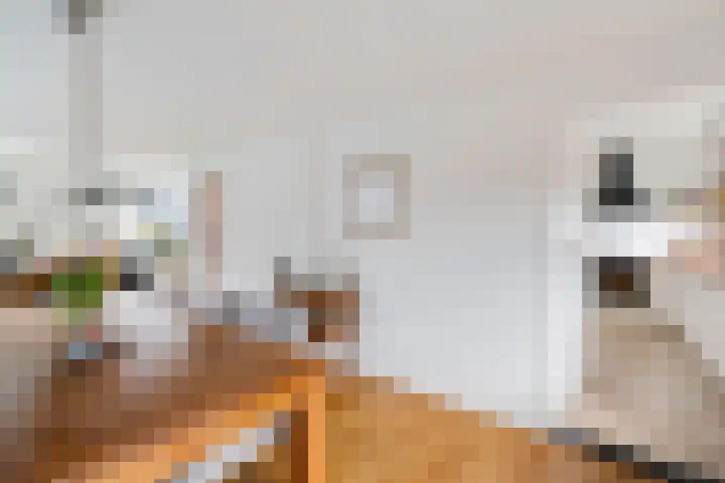 Beukenlaan 2 A Nieuw-Roden thumbnail 13