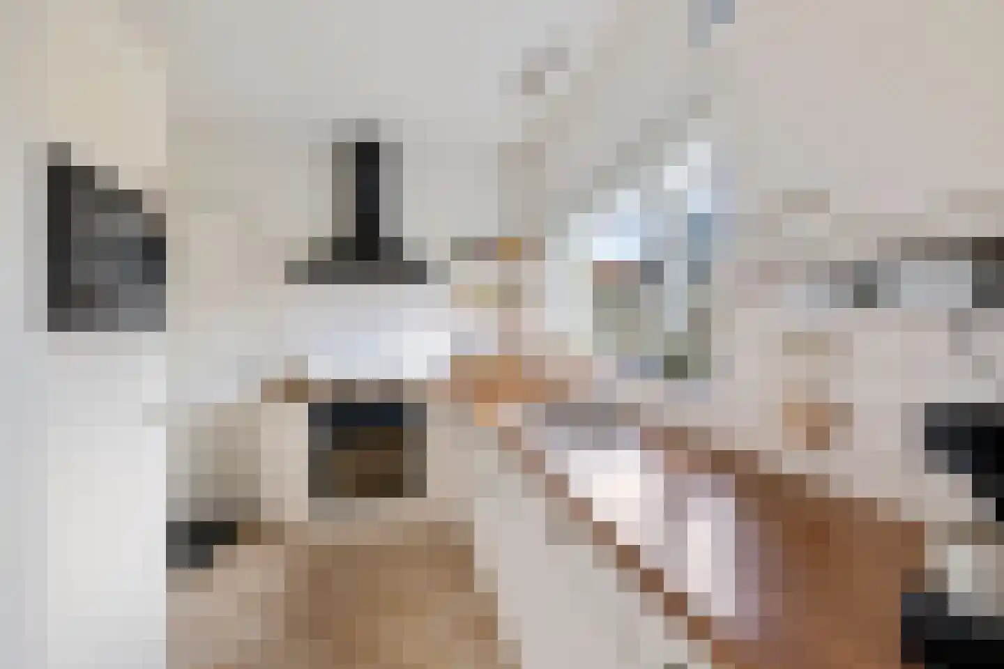 Beukenlaan 2 A Nieuw-Roden thumbnail 14