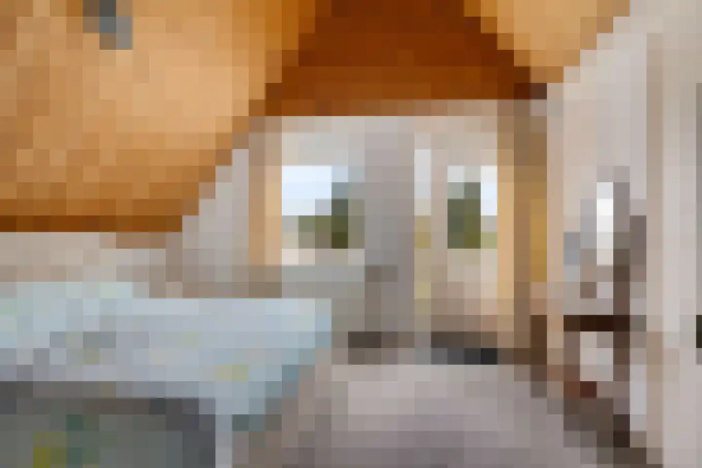 Beukenlaan 2 A Nieuw-Roden thumbnail 17