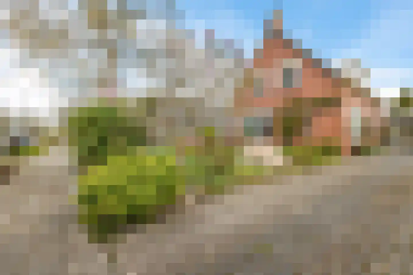 Beukenlaan 2 A Nieuw-Roden foto 2