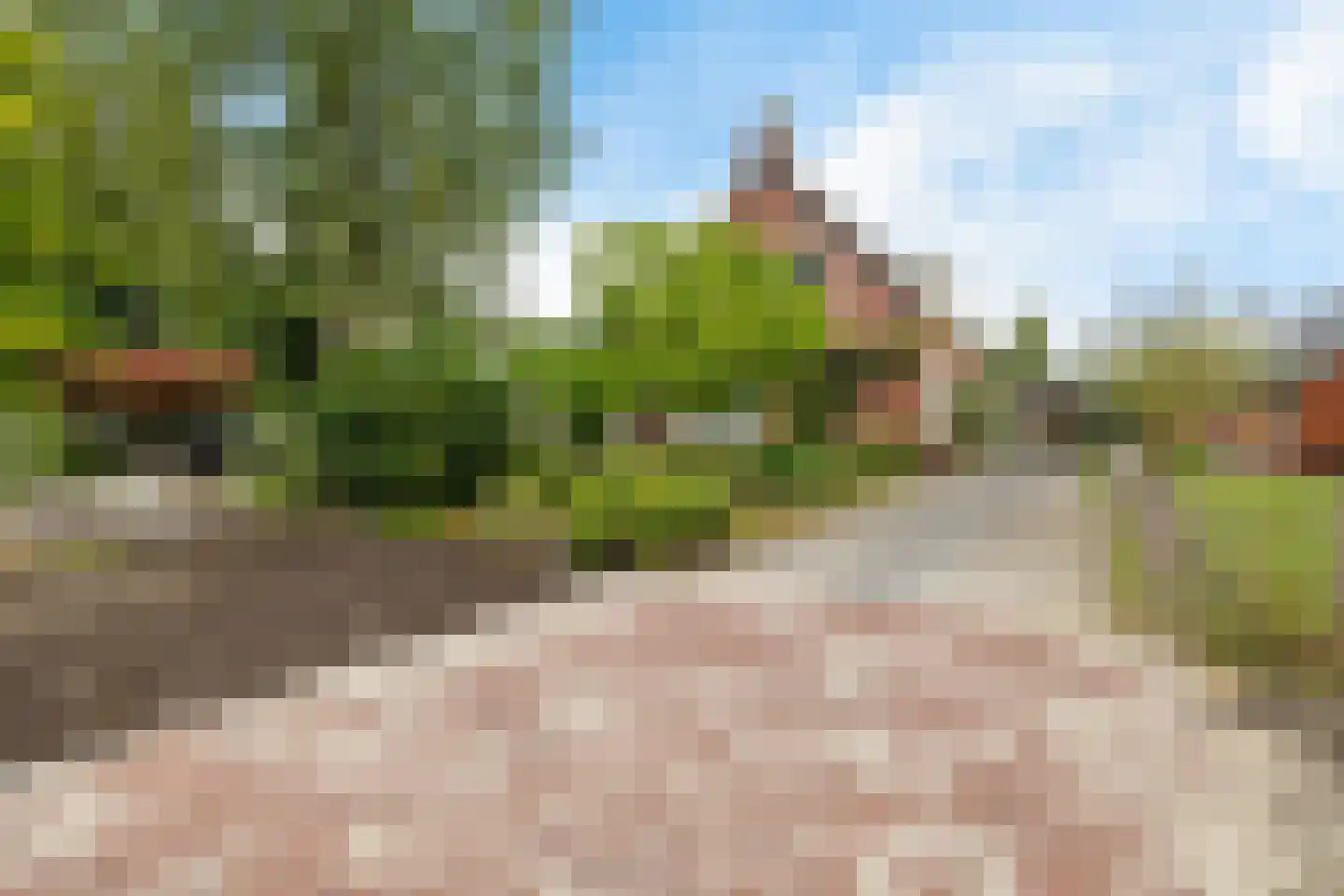 Beukenlaan 2 A Nieuw-Roden foto 3
