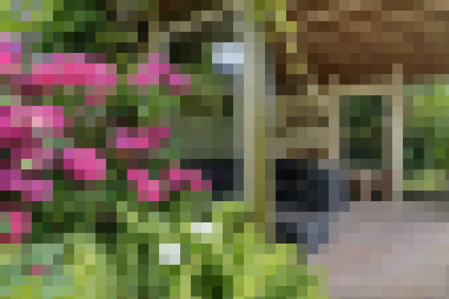 Beukenlaan 2 A Nieuw-Roden thumbnail 33