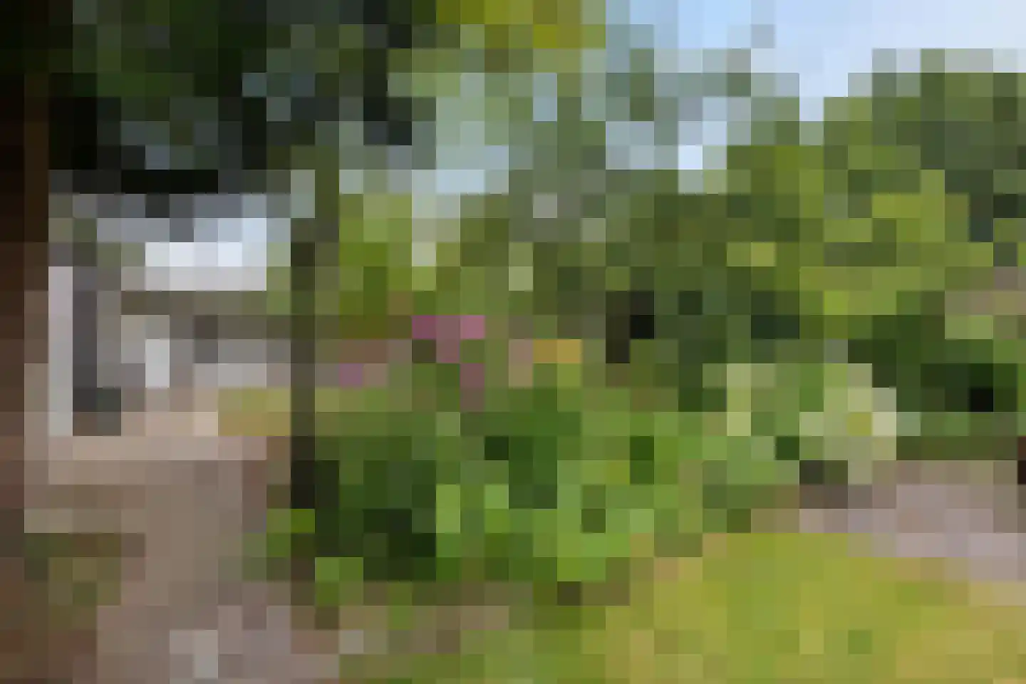 Beukenlaan 2 A Nieuw-Roden thumbnail 36