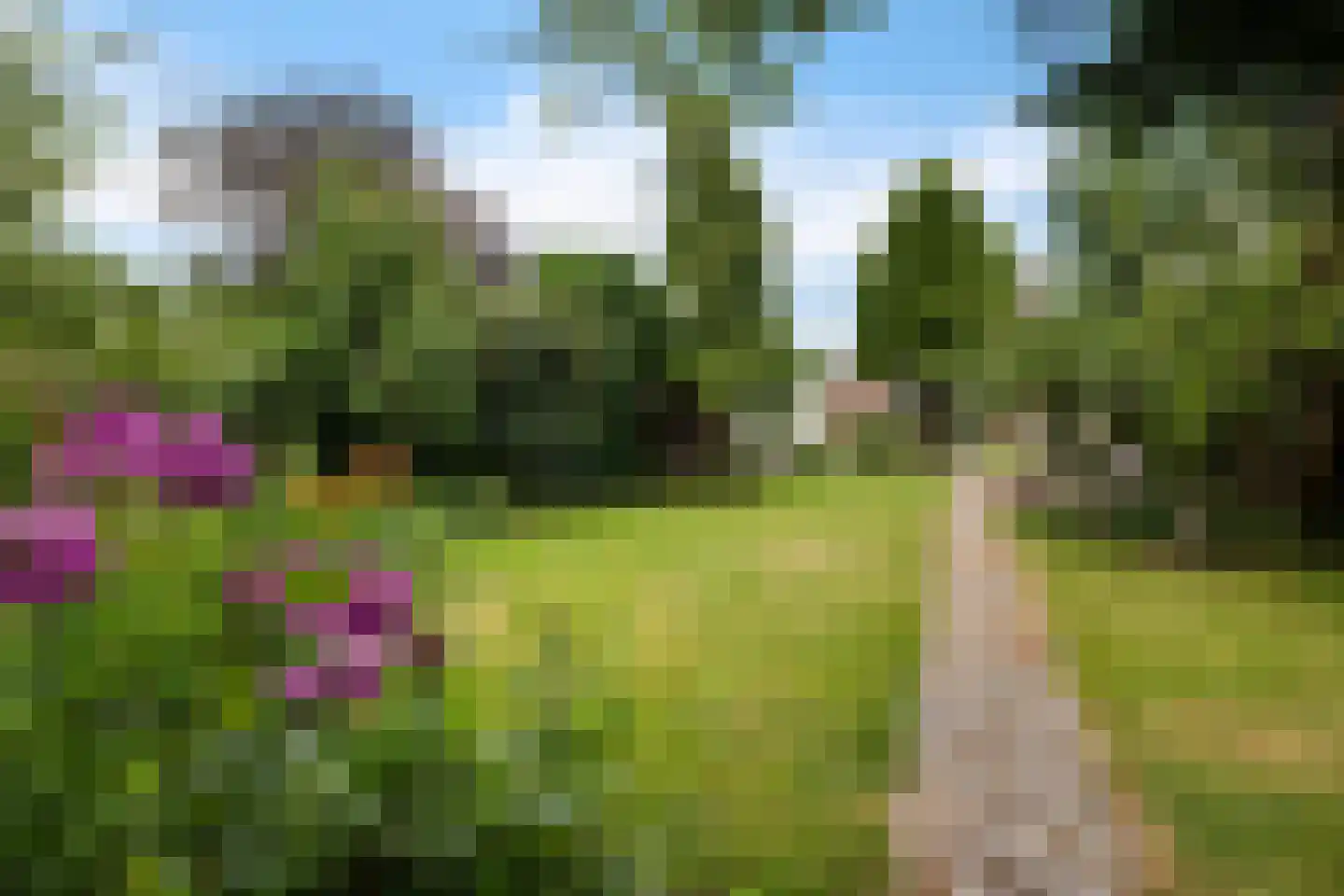Beukenlaan 2 A Nieuw-Roden thumbnail 37