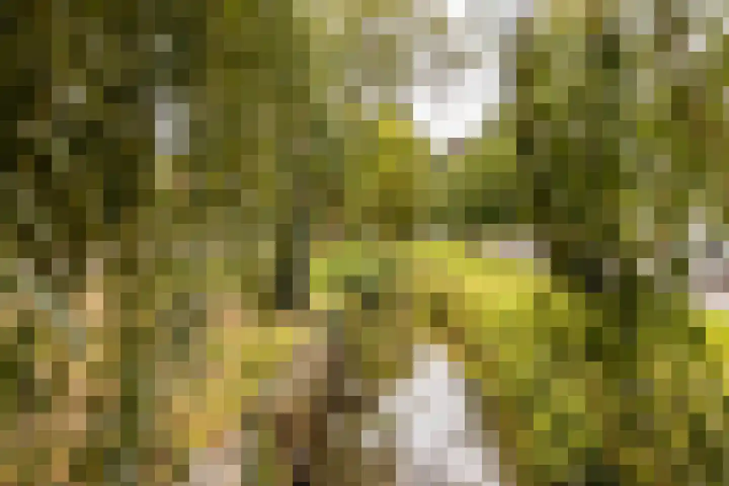 Beukenlaan 2 A Sittard thumbnail 24
