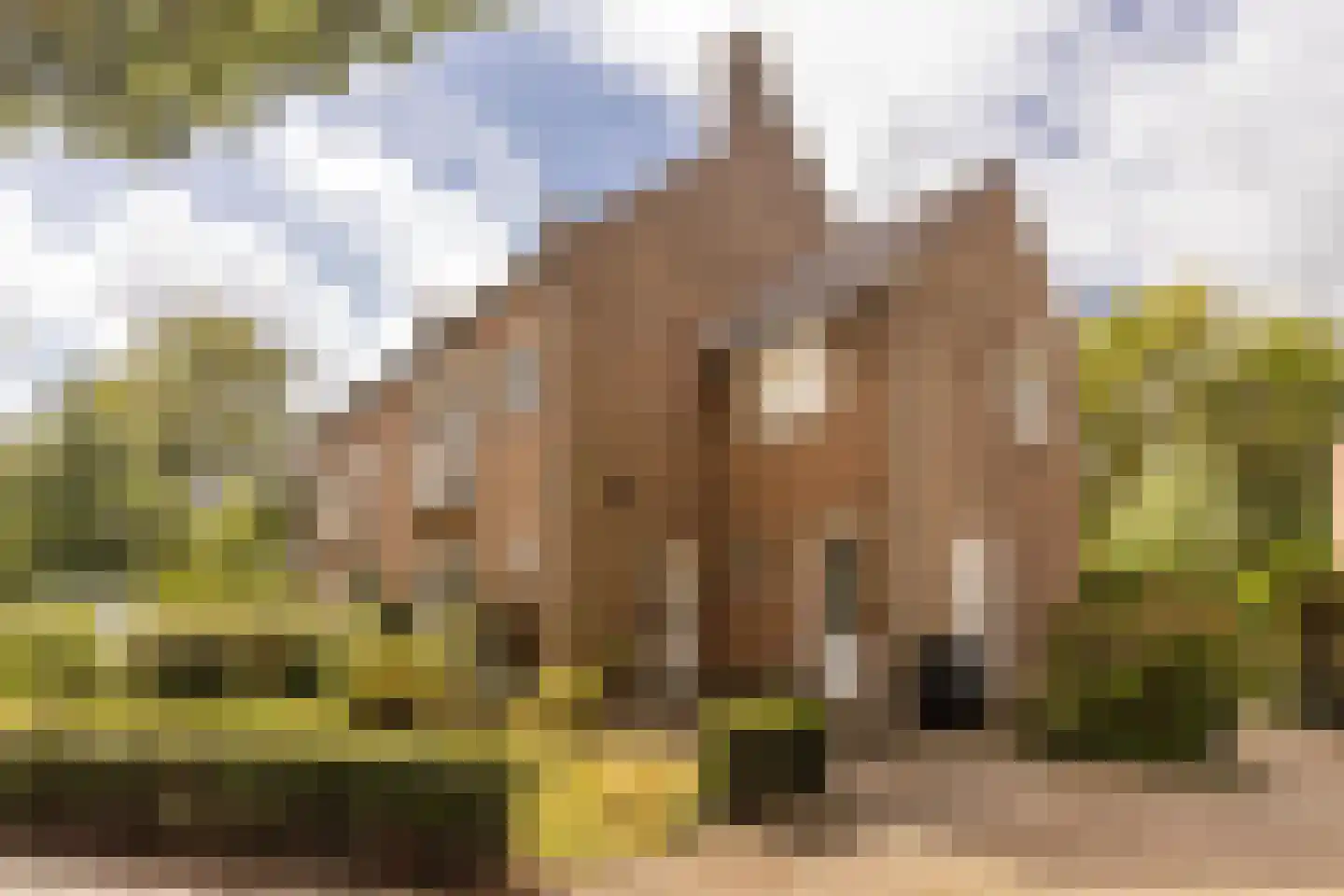 Beukenlaan 2 A Sittard thumbnail 7