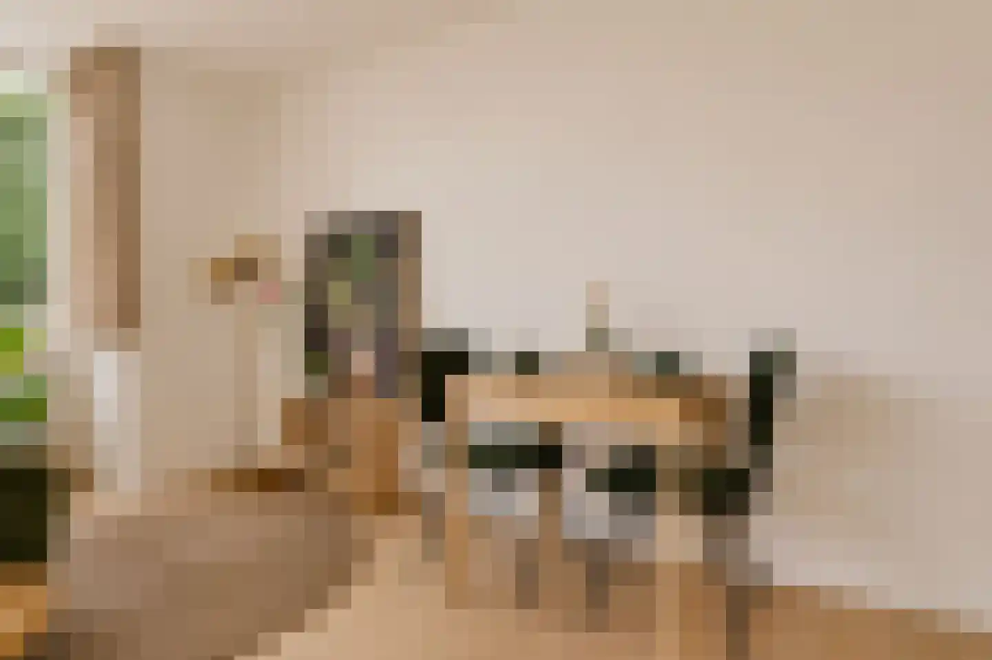 Beukenlaan 2 B 5 Ede thumbnail 10