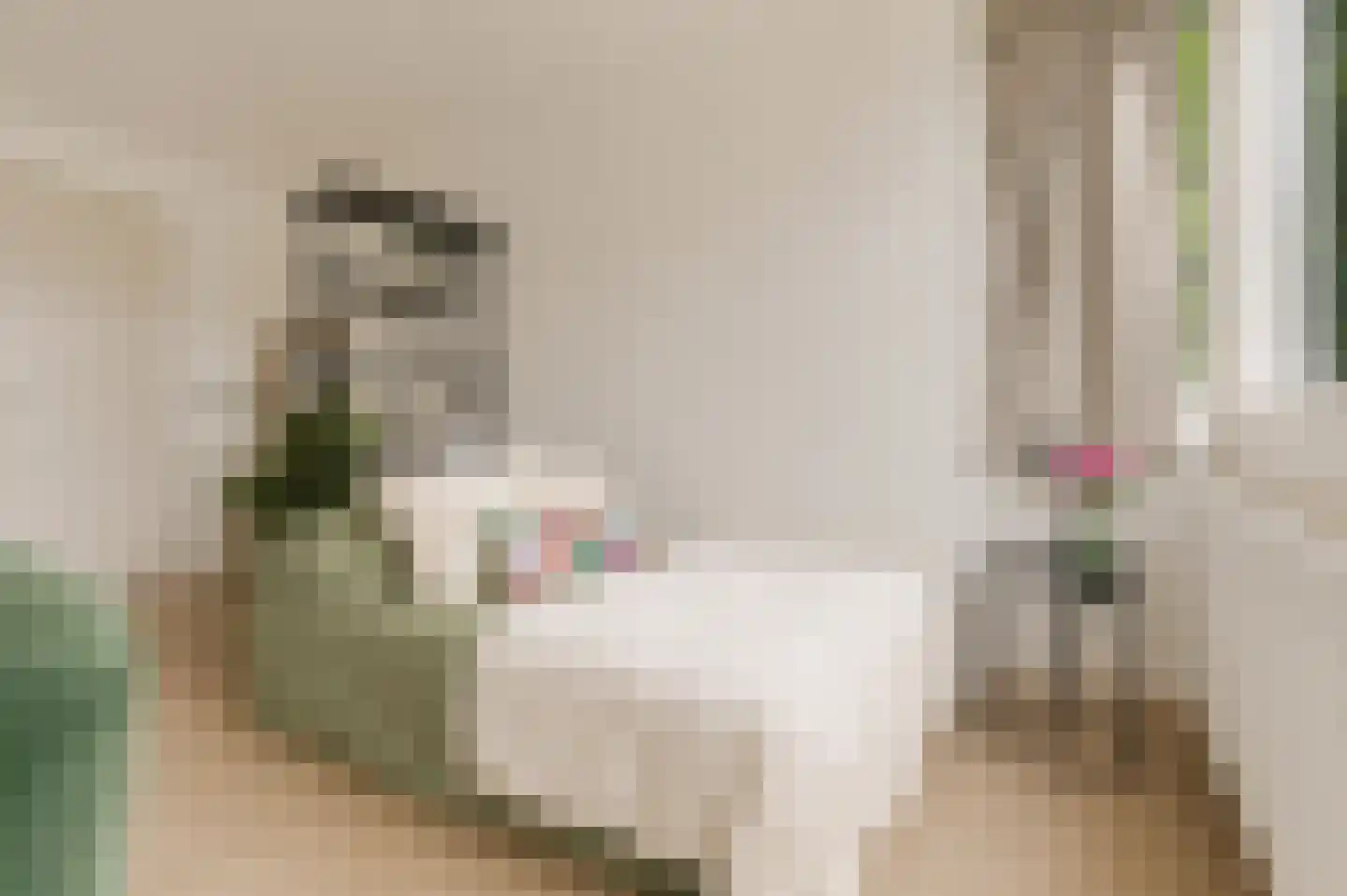 Beukenlaan 2 B 5 Ede thumbnail 11