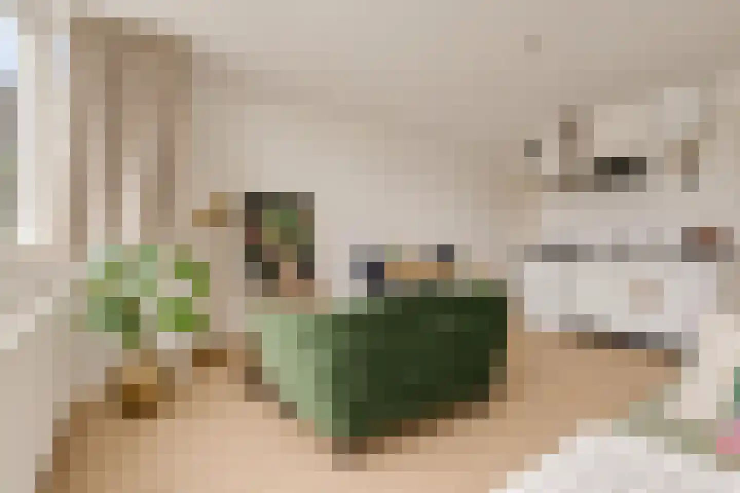 Beukenlaan 2 B 5 Ede thumbnail 13