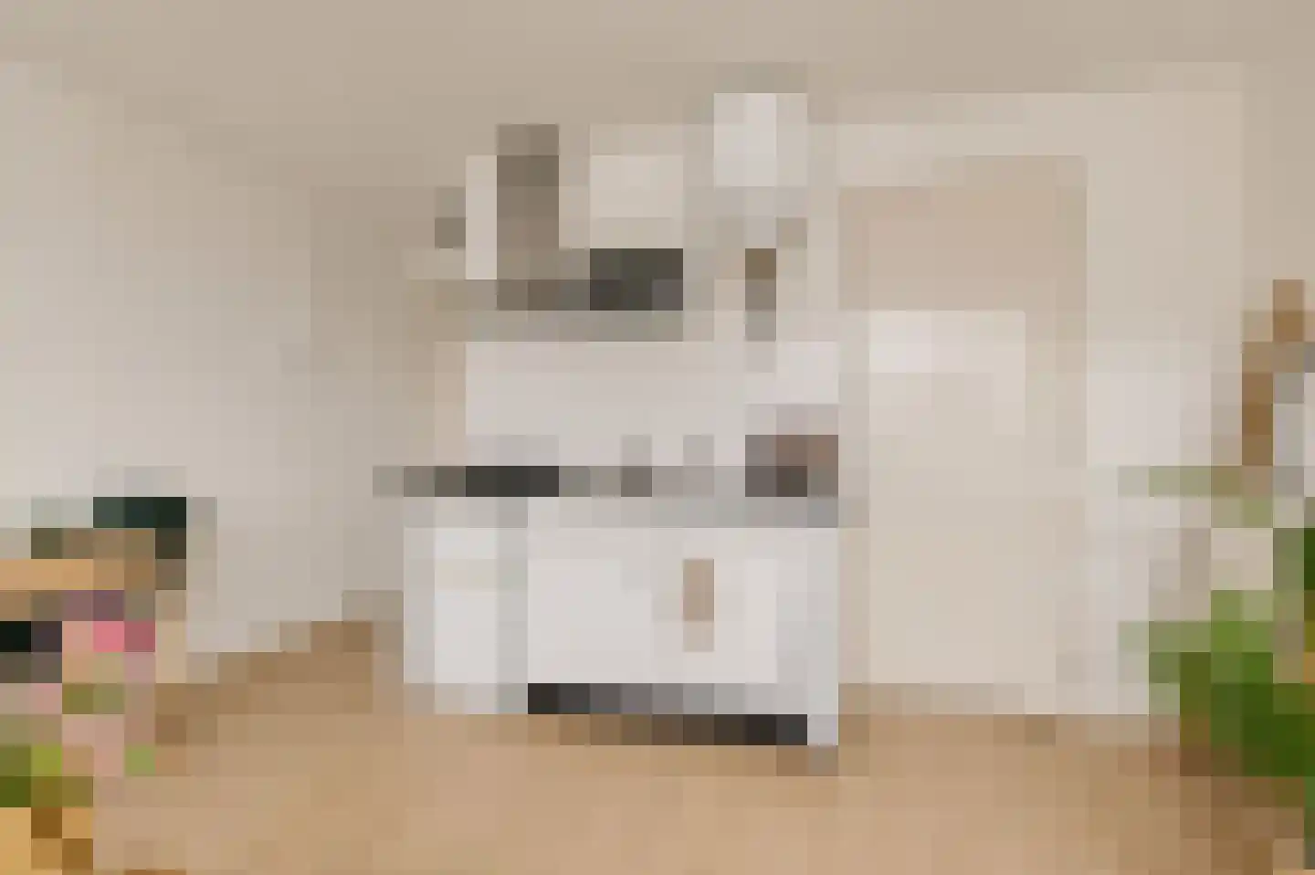 Beukenlaan 2 B 5 Ede thumbnail 14