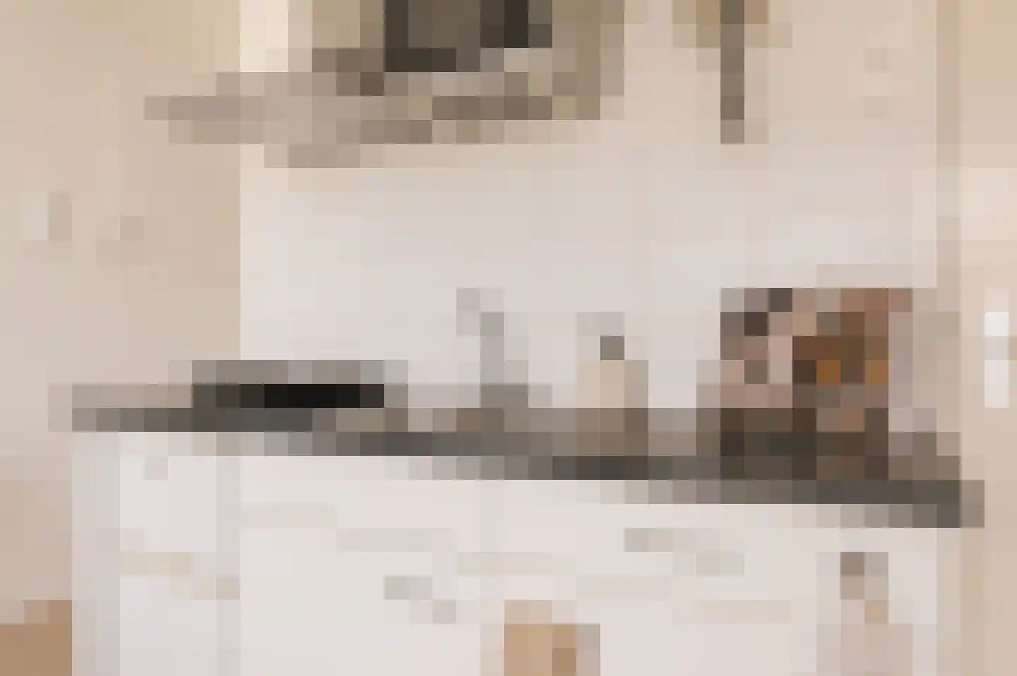 Beukenlaan 2 B 5 Ede thumbnail 16
