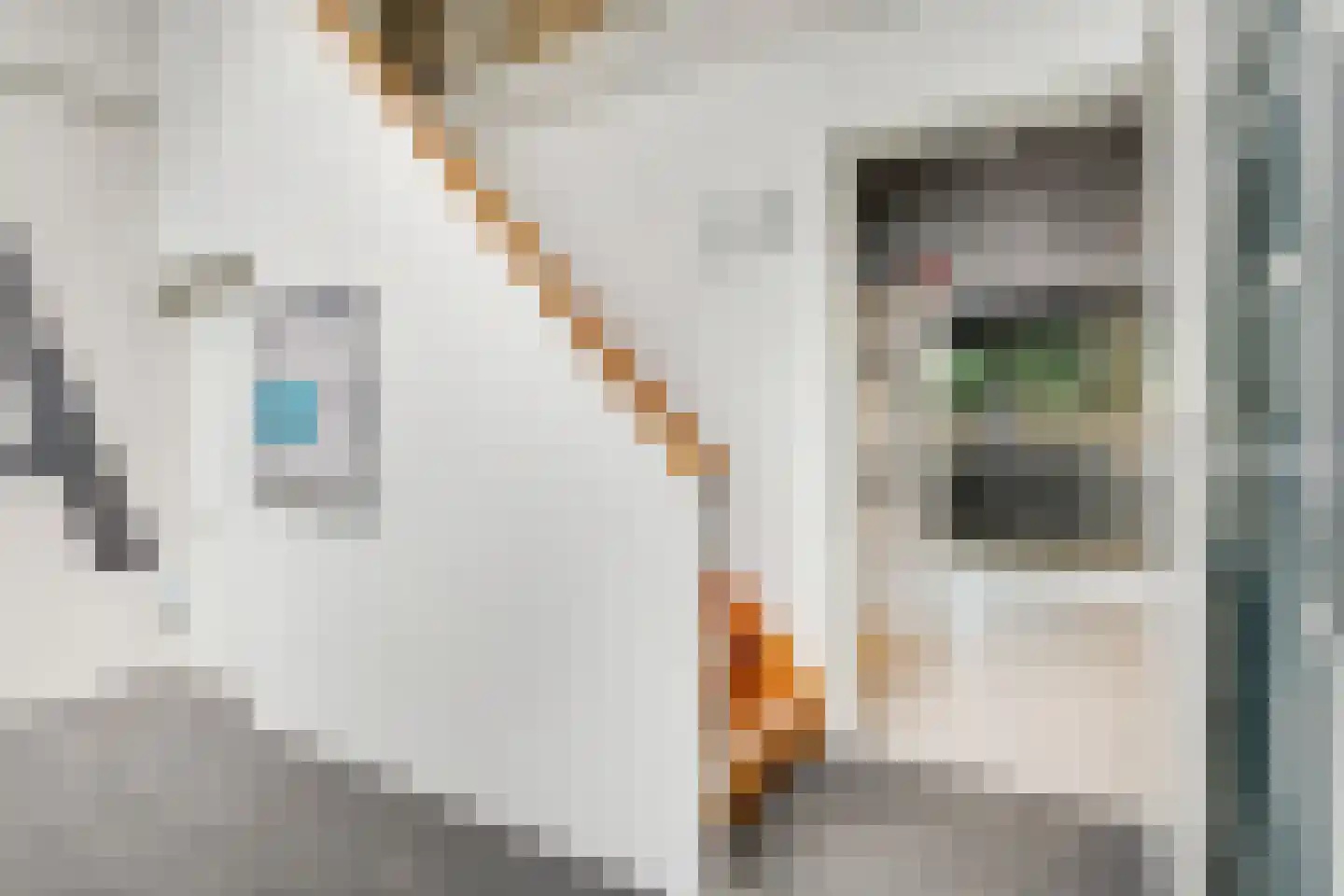 Beukenlaan 2 B 5 Ede thumbnail 20