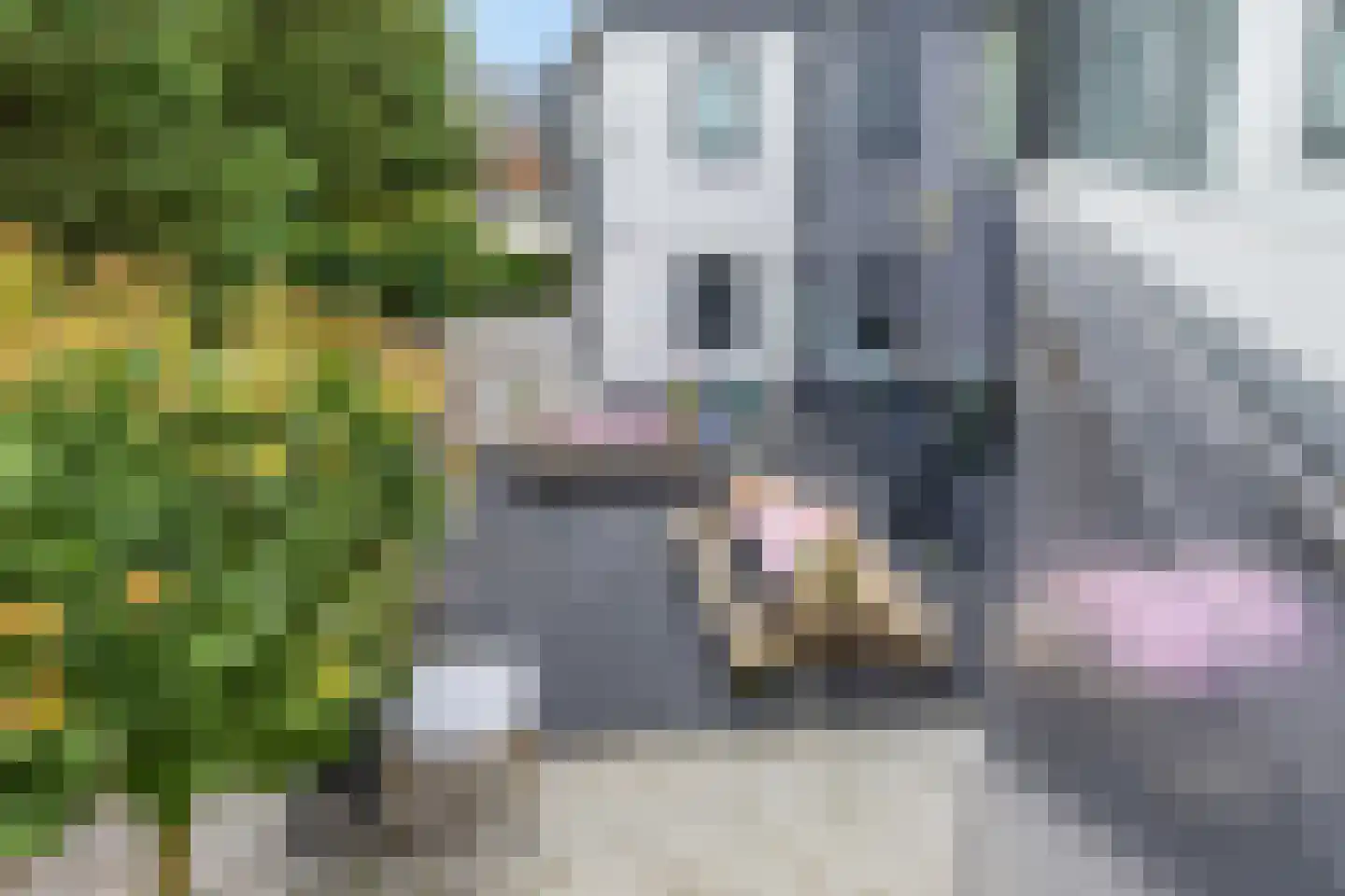 Beukenlaan 2 B 5 Ede thumbnail 30