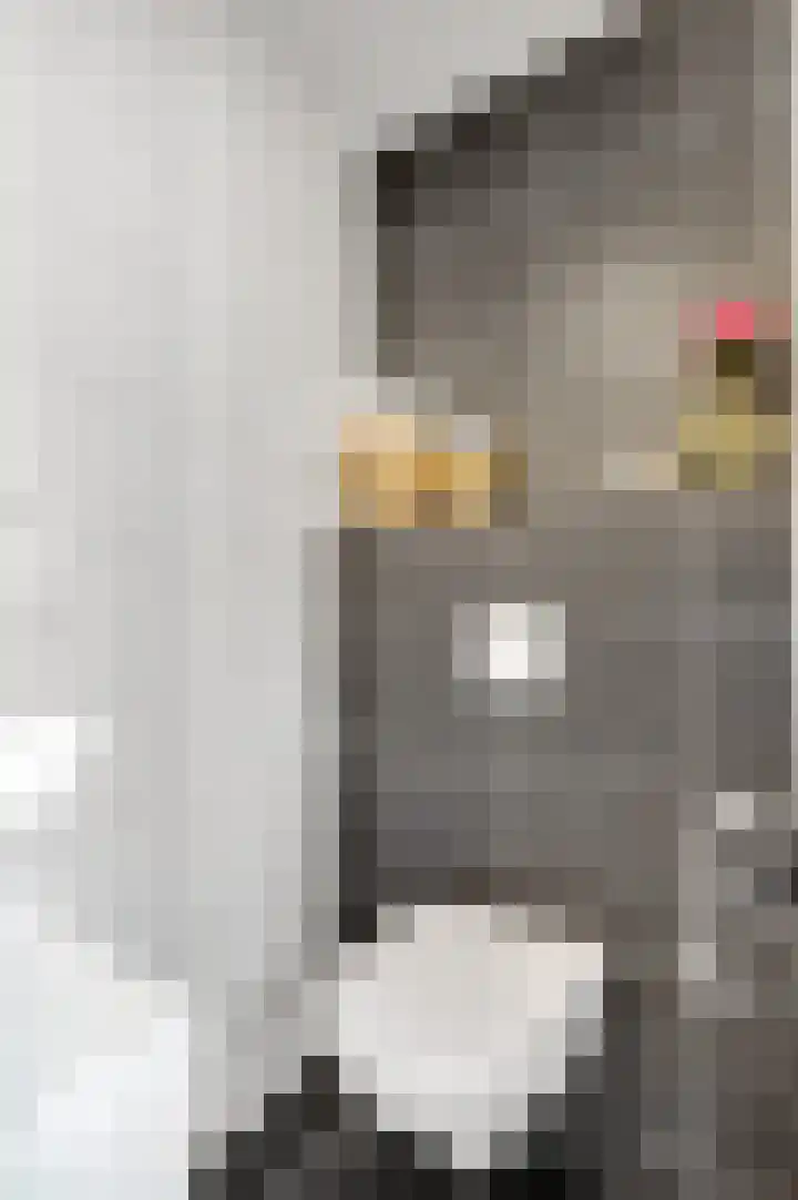 Beukenlaan 2 B 6 Ede thumbnail 12