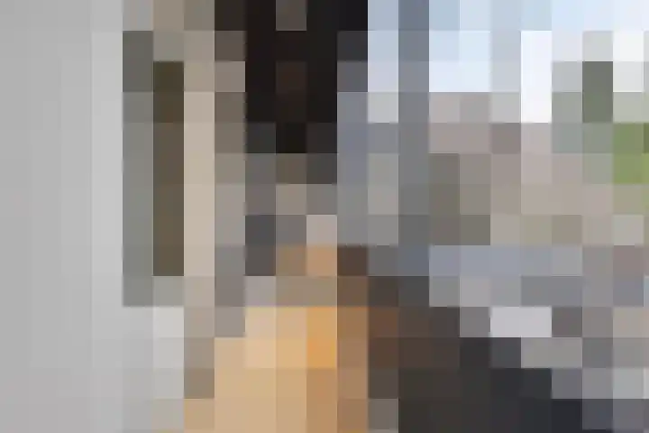 Beukenlaan 2 B 6 Ede thumbnail 13