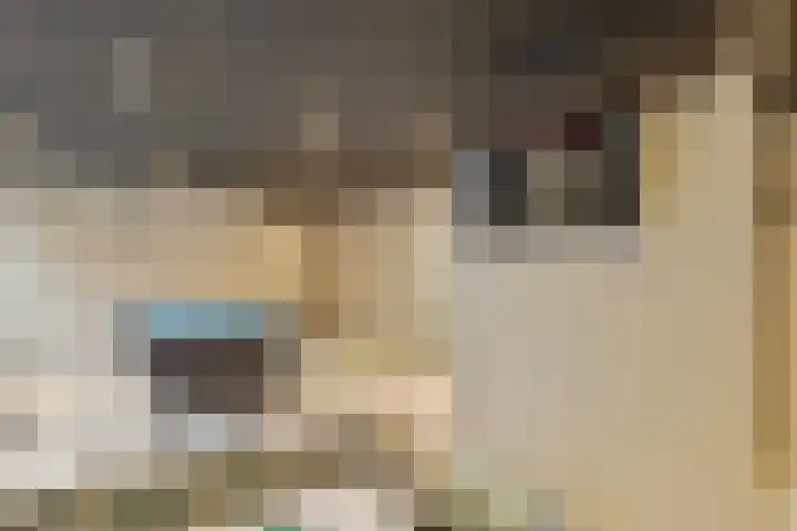 Beukenlaan 2 B 6 Ede thumbnail 16