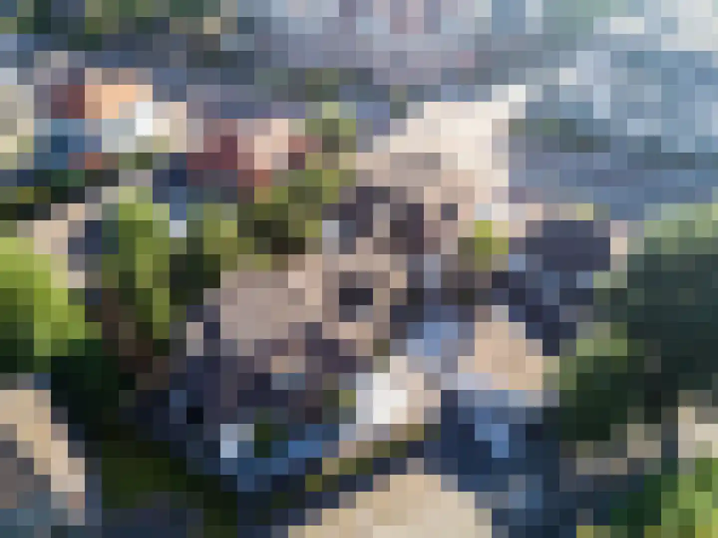 Beukenlaan 2 B 6 Ede thumbnail 22