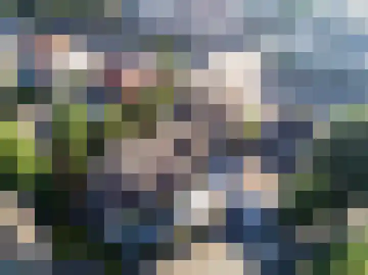 Beukenlaan 2 B 6 Ede thumbnail 22