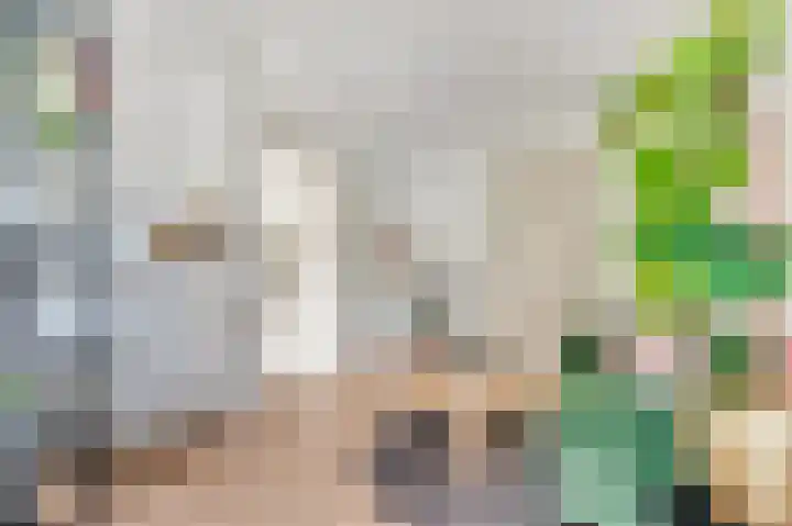 Beukenlaan 2 B 6 Ede thumbnail 4