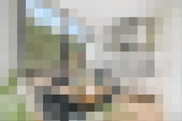 Beukenlaan 2 B 6 Ede thumbnail 8