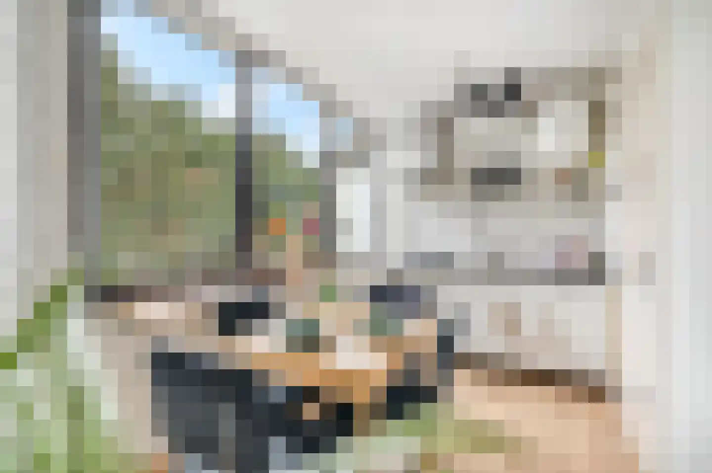 Beukenlaan 2 B 6 Ede thumbnail 8