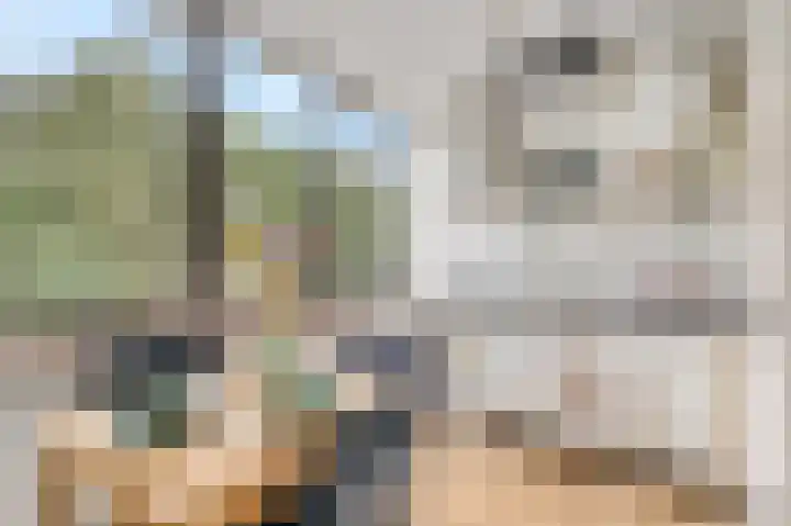 Beukenlaan 2 B 6 Ede thumbnail 9