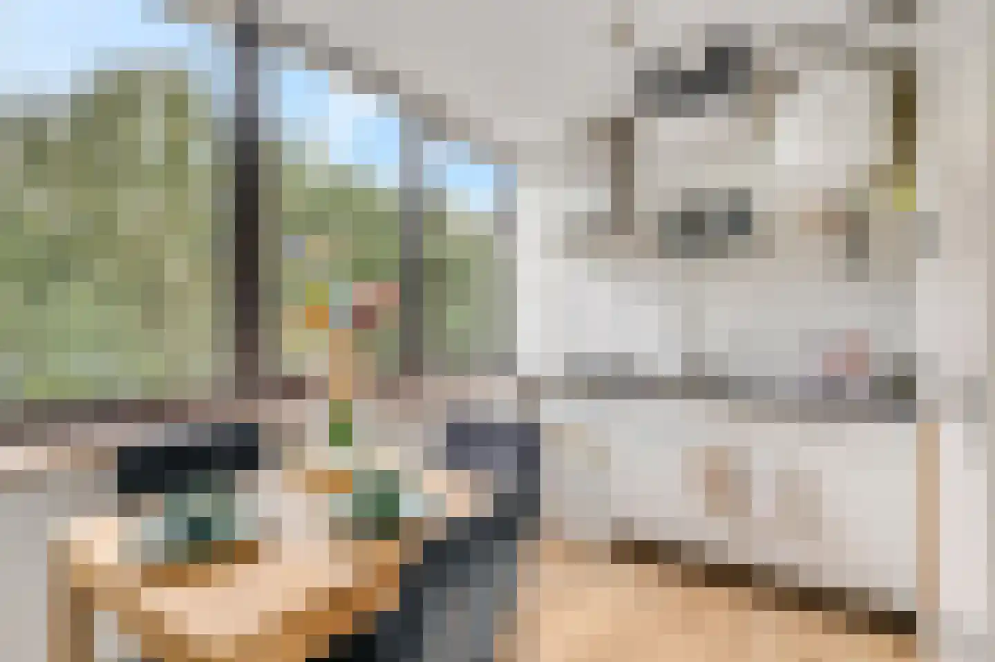Beukenlaan 2 B 6 Ede thumbnail 9