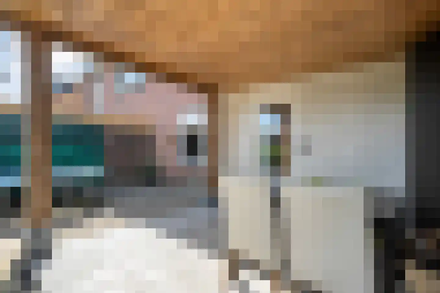 Beukenlaan 2 Balkbrug thumbnail 11