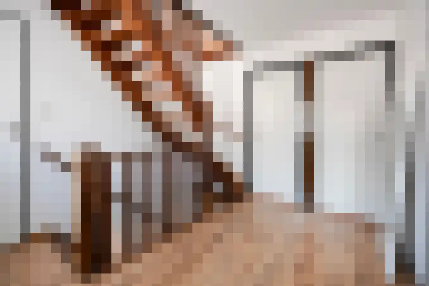 Beukenlaan 2 Balkbrug thumbnail 12
