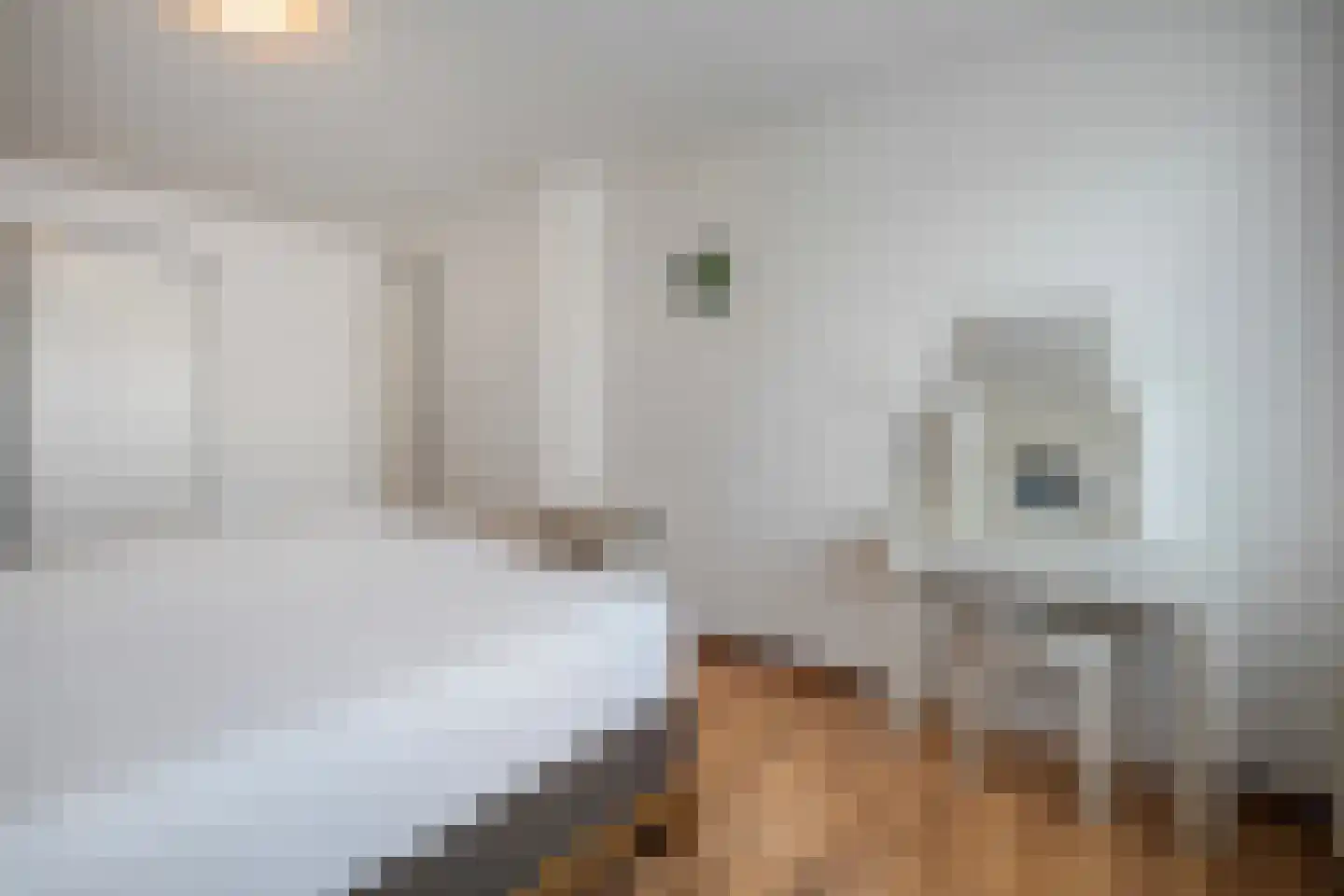 Beukenlaan 2 Balkbrug thumbnail 17