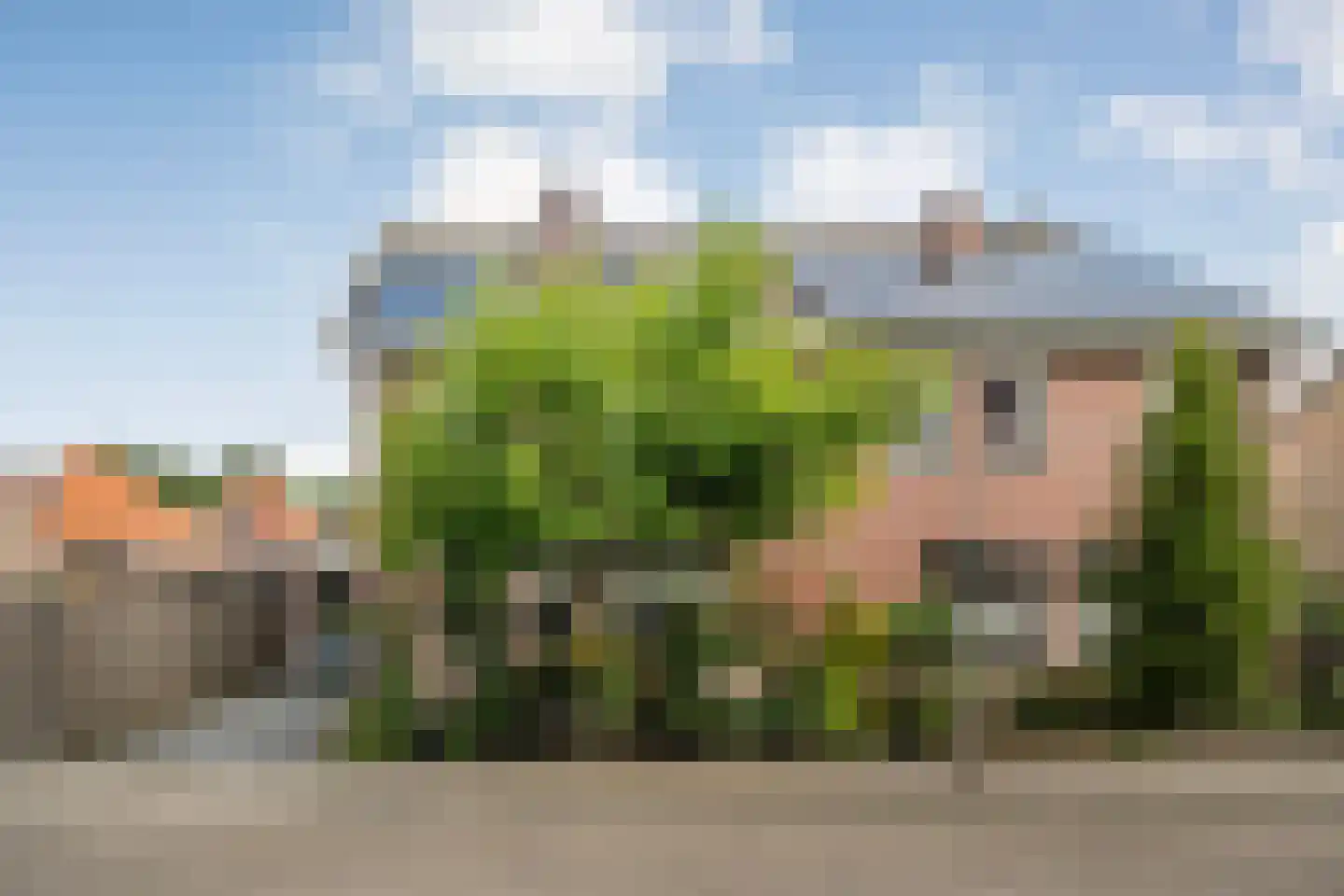 Beukenlaan 2 Balkbrug foto 2