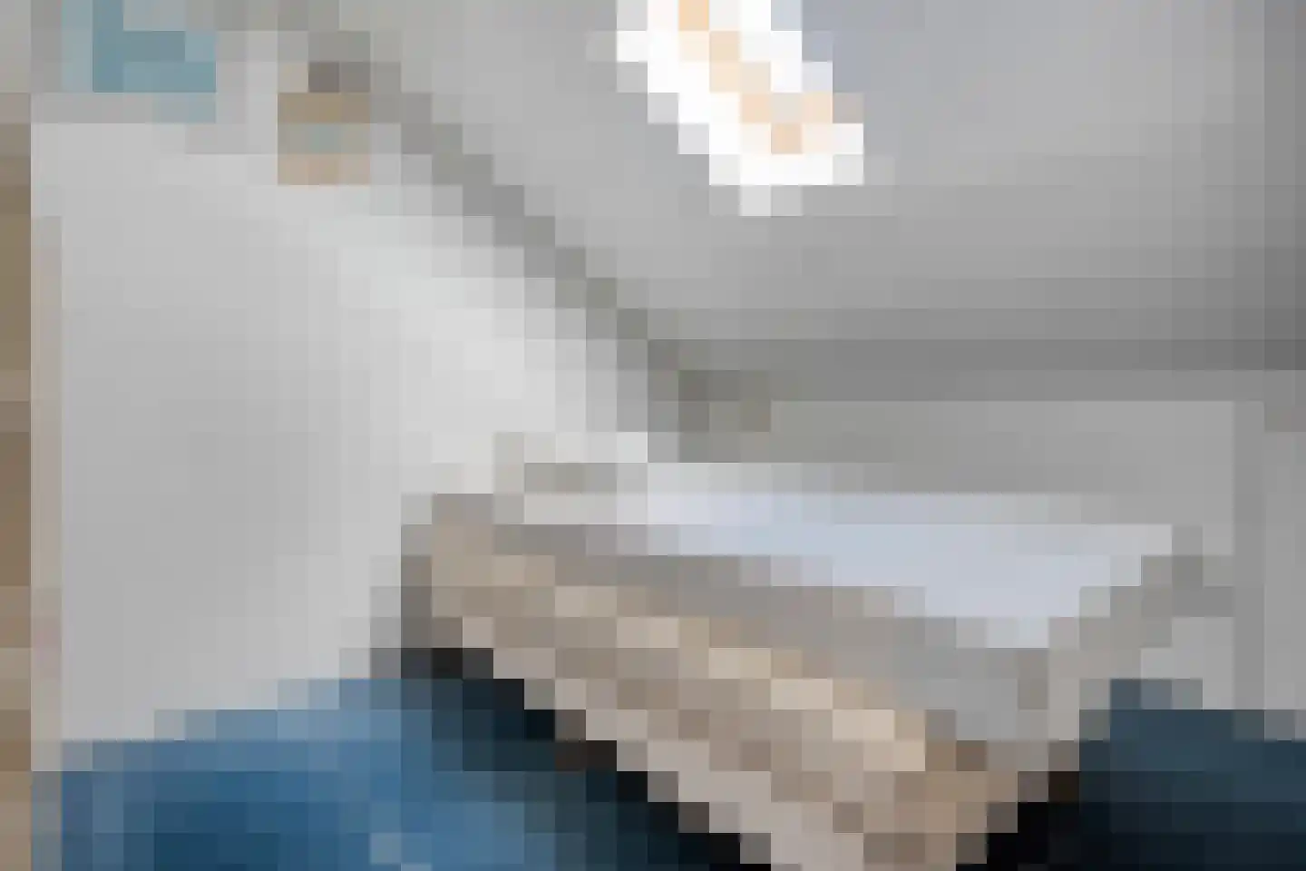 Beukenlaan 2 Balkbrug thumbnail 21