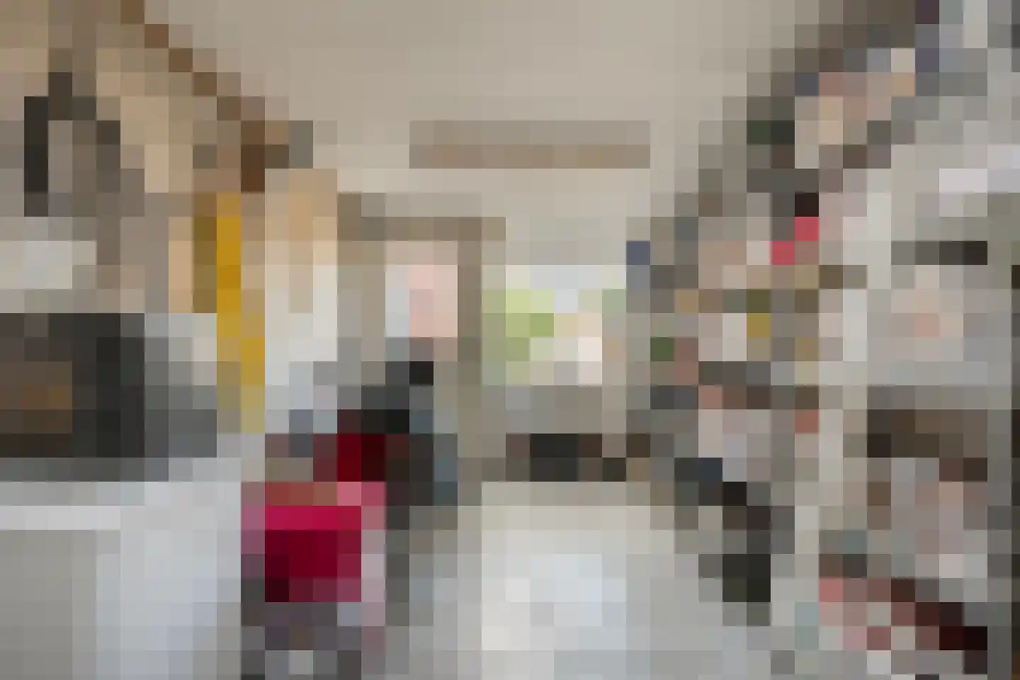 Beukenlaan 2 Balkbrug thumbnail 25