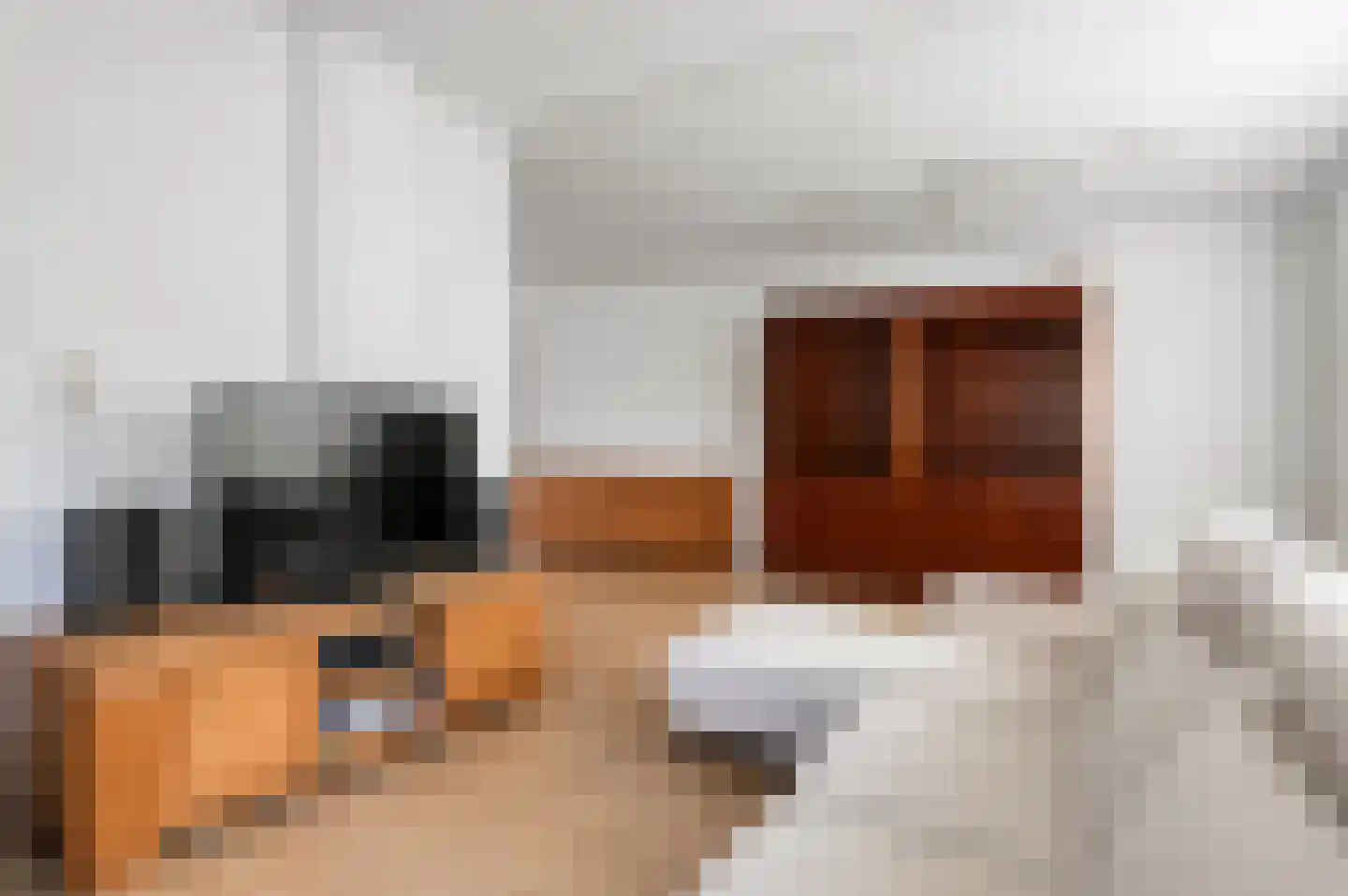 Beukenlaan 2 Balkbrug thumbnail 6