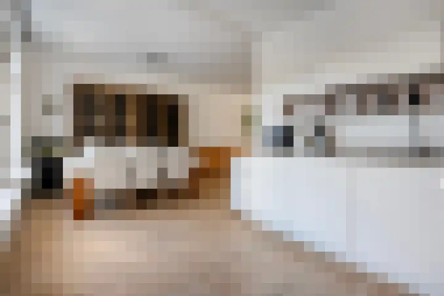 Beukenlaan 2 Balkbrug thumbnail 8