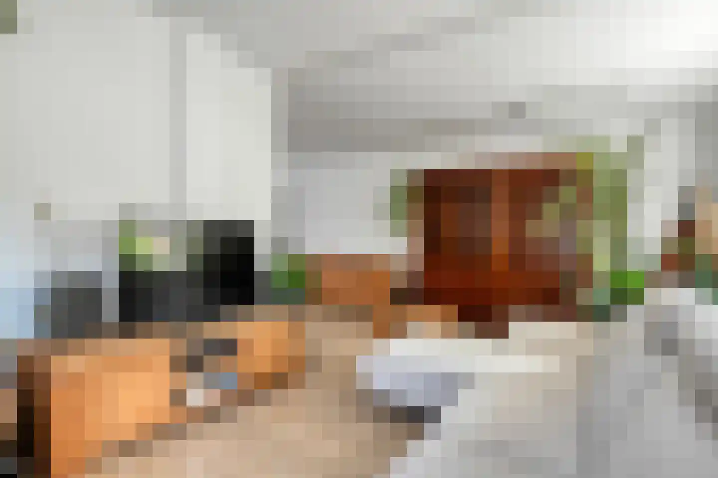 Beukenlaan 2 Balkbrug thumbnail 8
