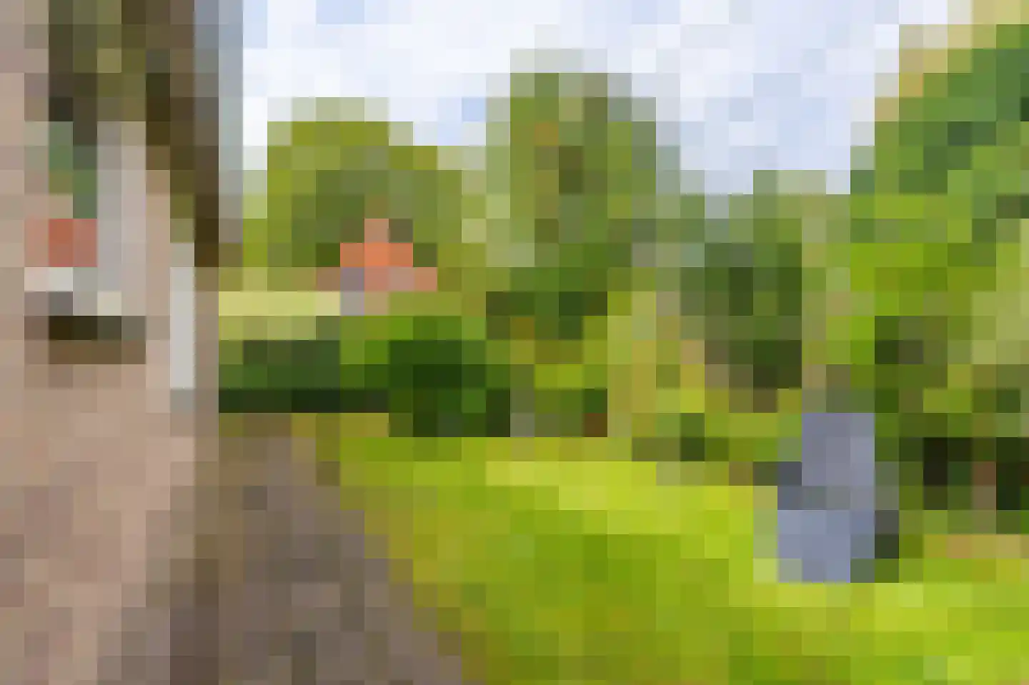 Beukenlaan 2 Blijham thumbnail 10