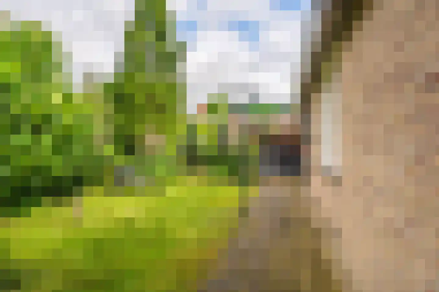 Beukenlaan 2 Blijham thumbnail 11