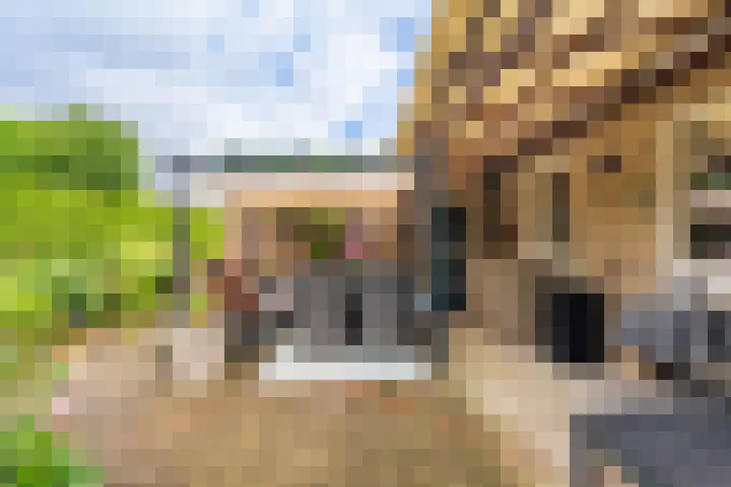 Beukenlaan 2 Blijham thumbnail 13