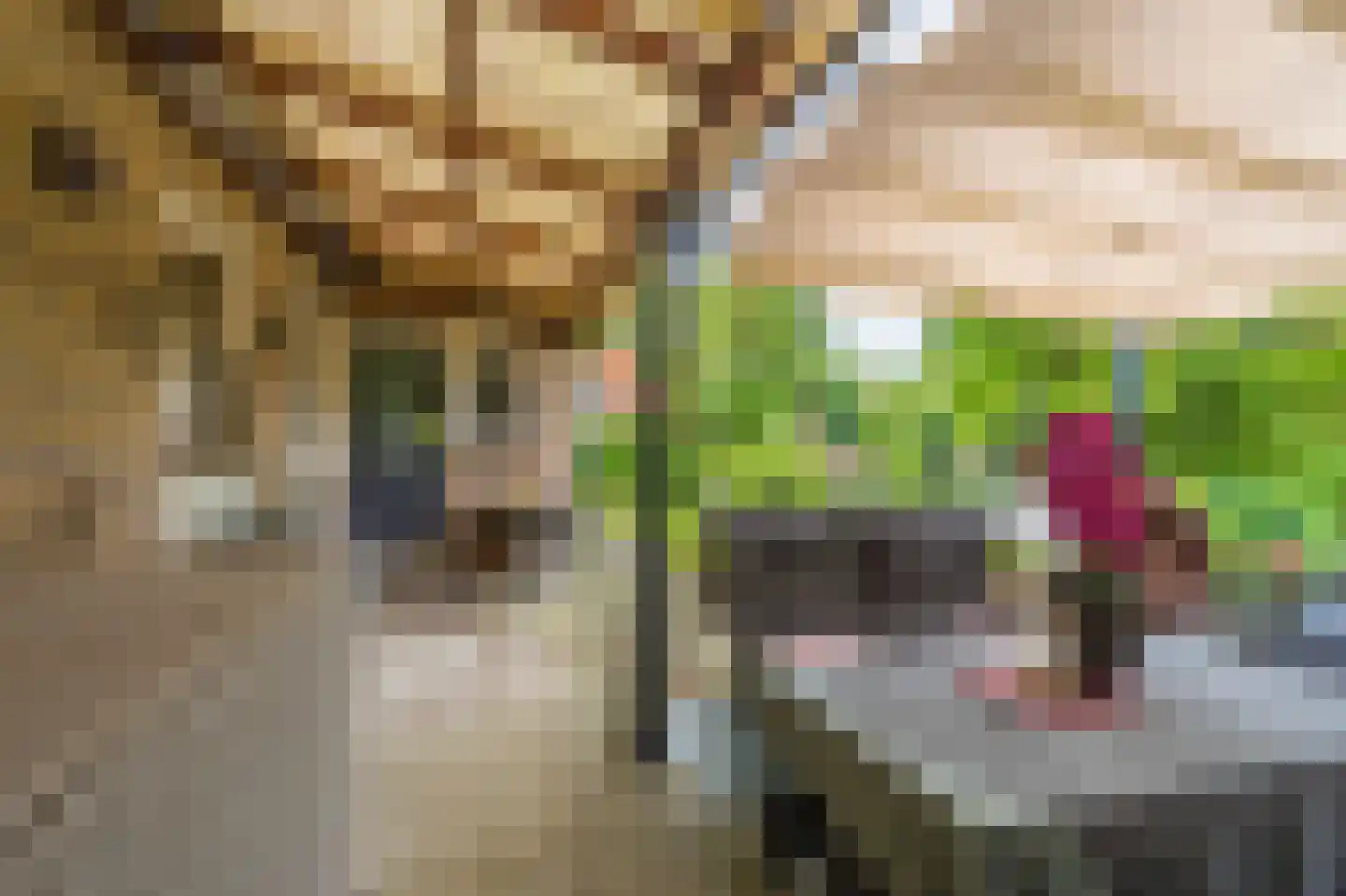 Beukenlaan 2 Blijham thumbnail 15