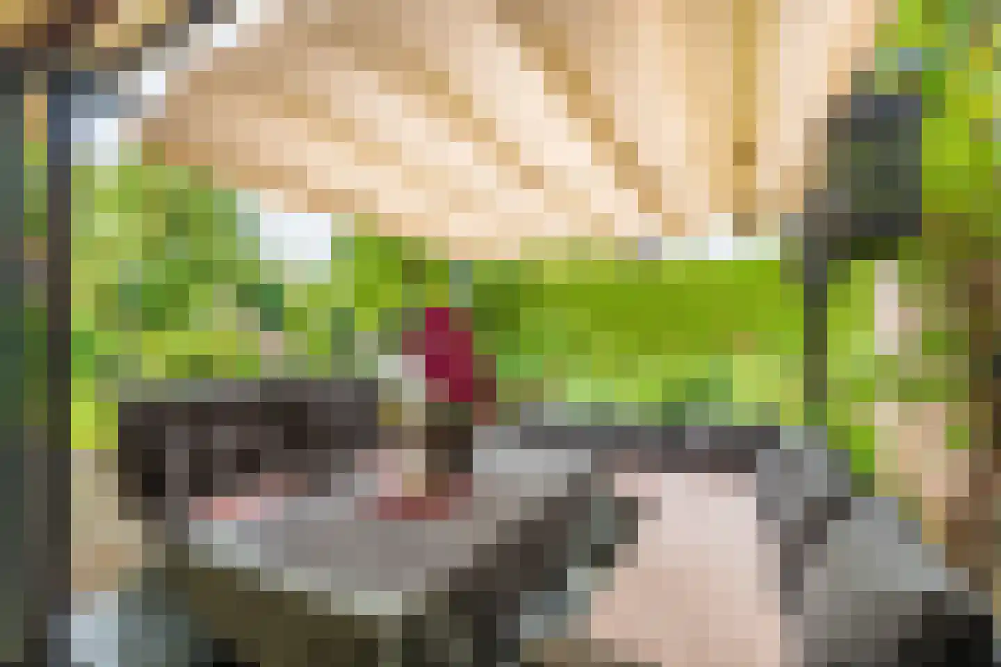 Beukenlaan 2 Blijham thumbnail 16
