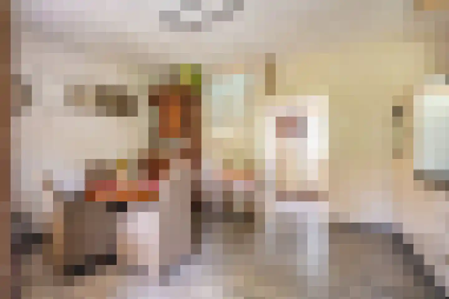 Beukenlaan 2 Blijham thumbnail 22