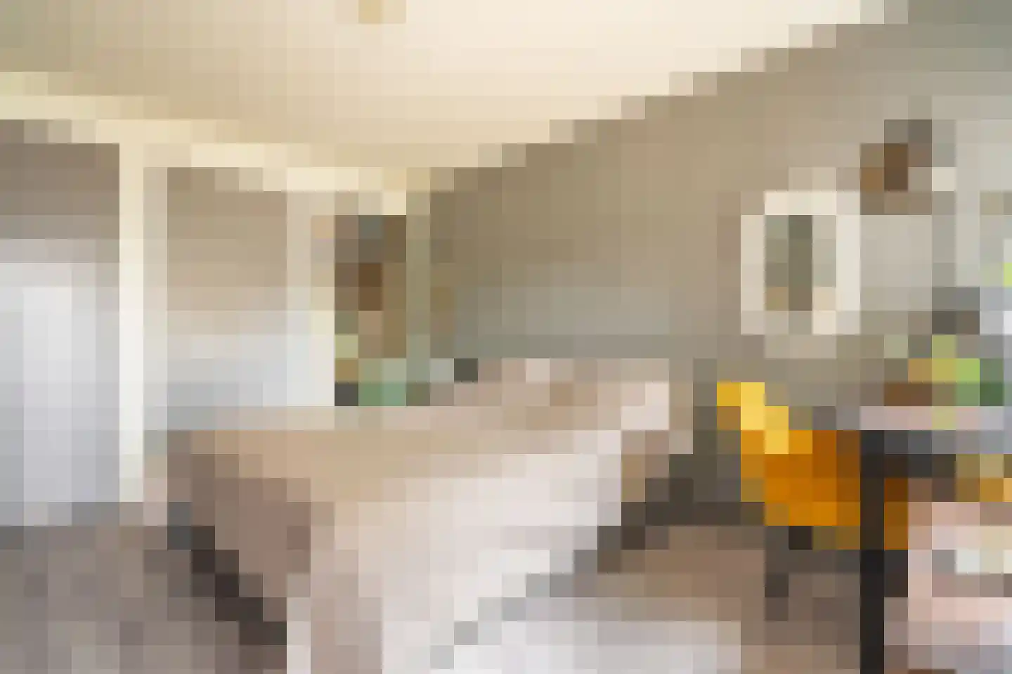 Beukenlaan 2 Blijham thumbnail 42