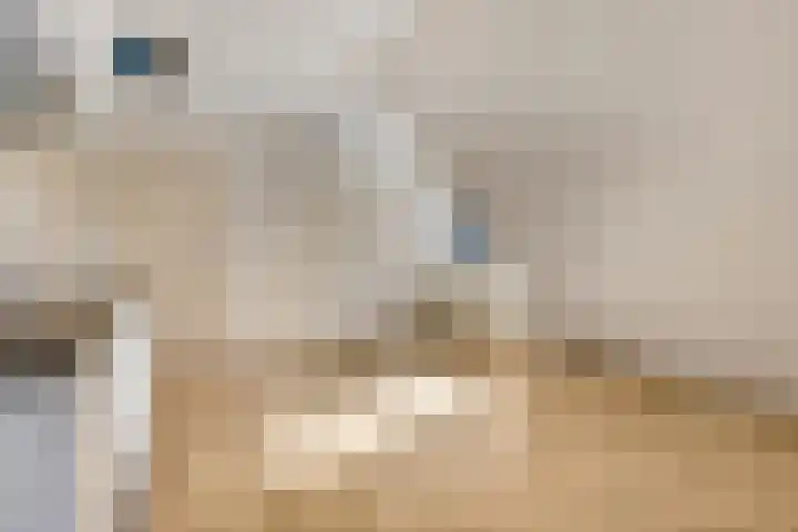 Beukenlaan 2 C 1 Ede thumbnail 4