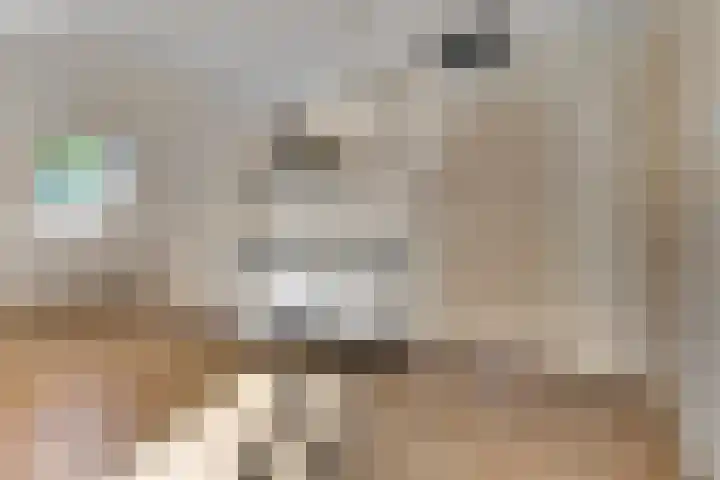 Beukenlaan 2 C 1 Ede thumbnail 6